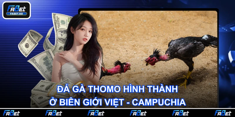 Đá gà Thomo hình thành ở biên giới Việt - Campuchia
