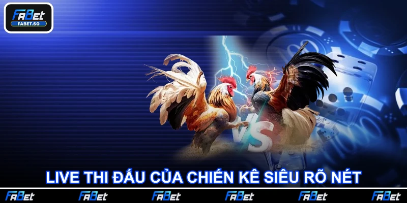 Live thi đấu của chiến kê siêu rõ nét