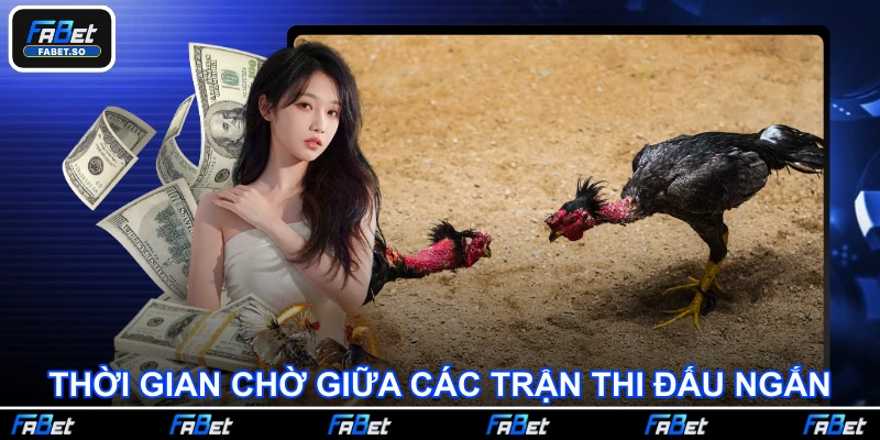 Thời gian chờ giữa các trận thi đấu ngắn